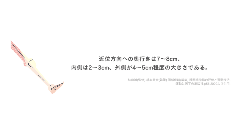 パテラセッティング (1)