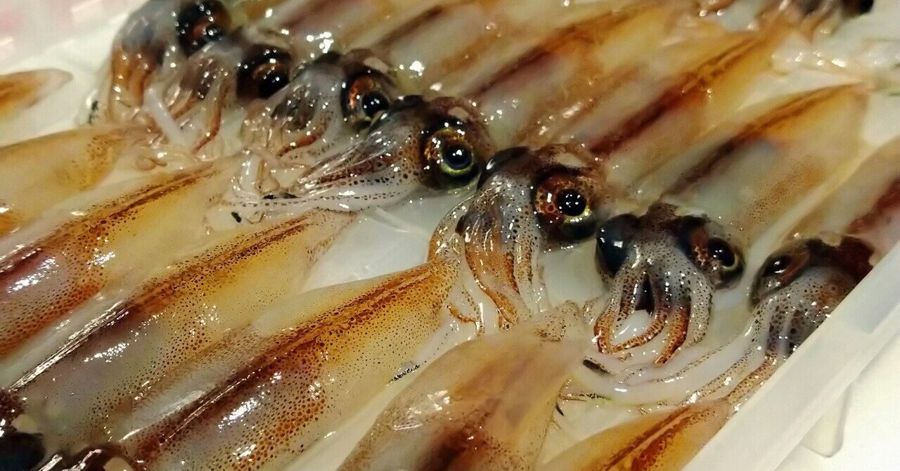 憧れの生ホタルイカ 旬のヤリイカ どちらもシンプルに食べる チョコチップクッキー Note 憧れの生ホタルイカ 旬のヤリイカ どちらもシンプルに食べる チョコチップクッキー Note