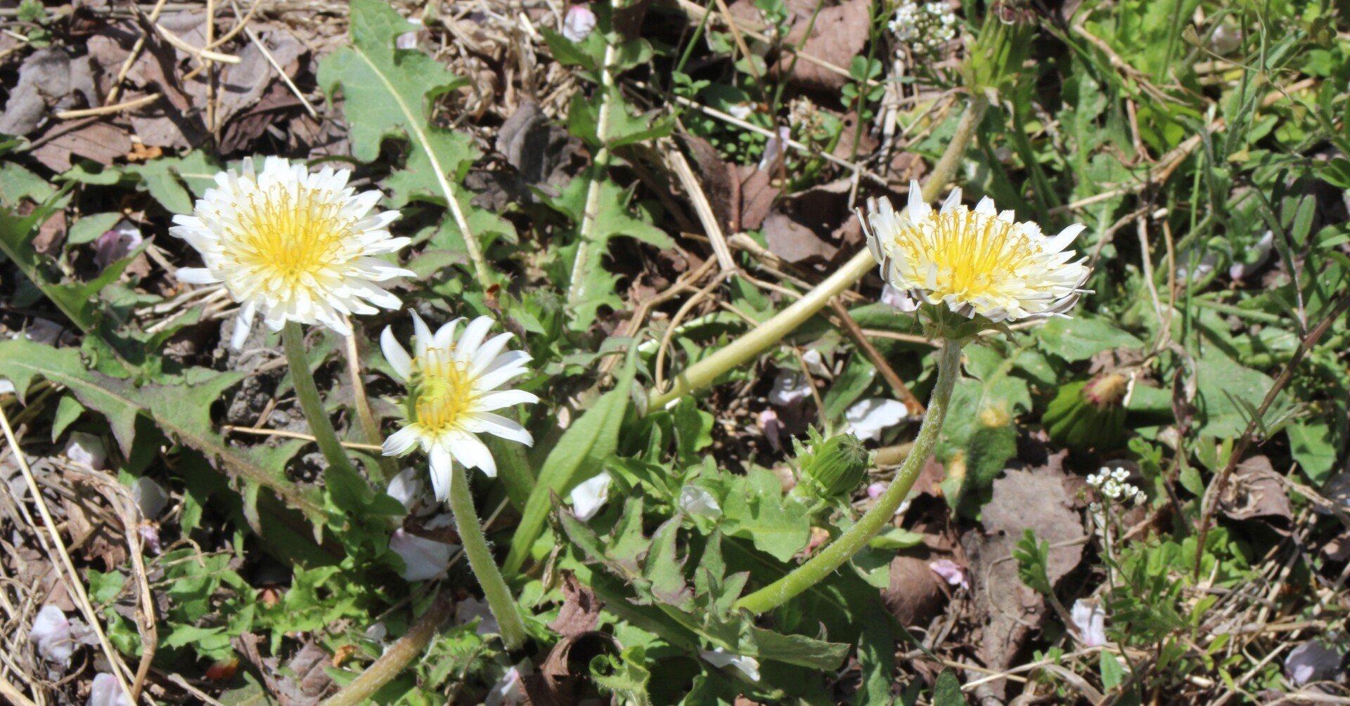 9fb7dbe21ea35411ce1f4e6023e315