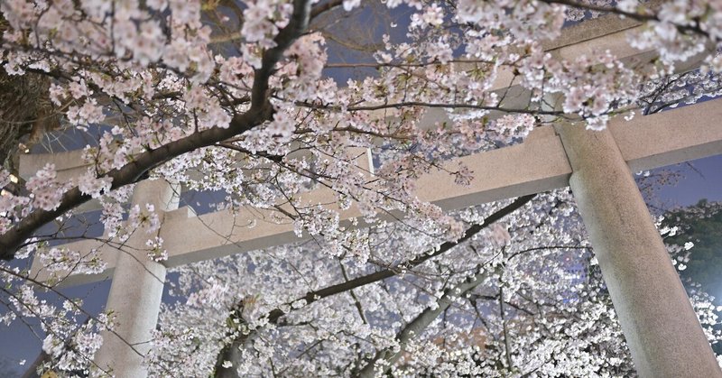 東京さんぽ／2022年3月 西新宿〈夜桜〉