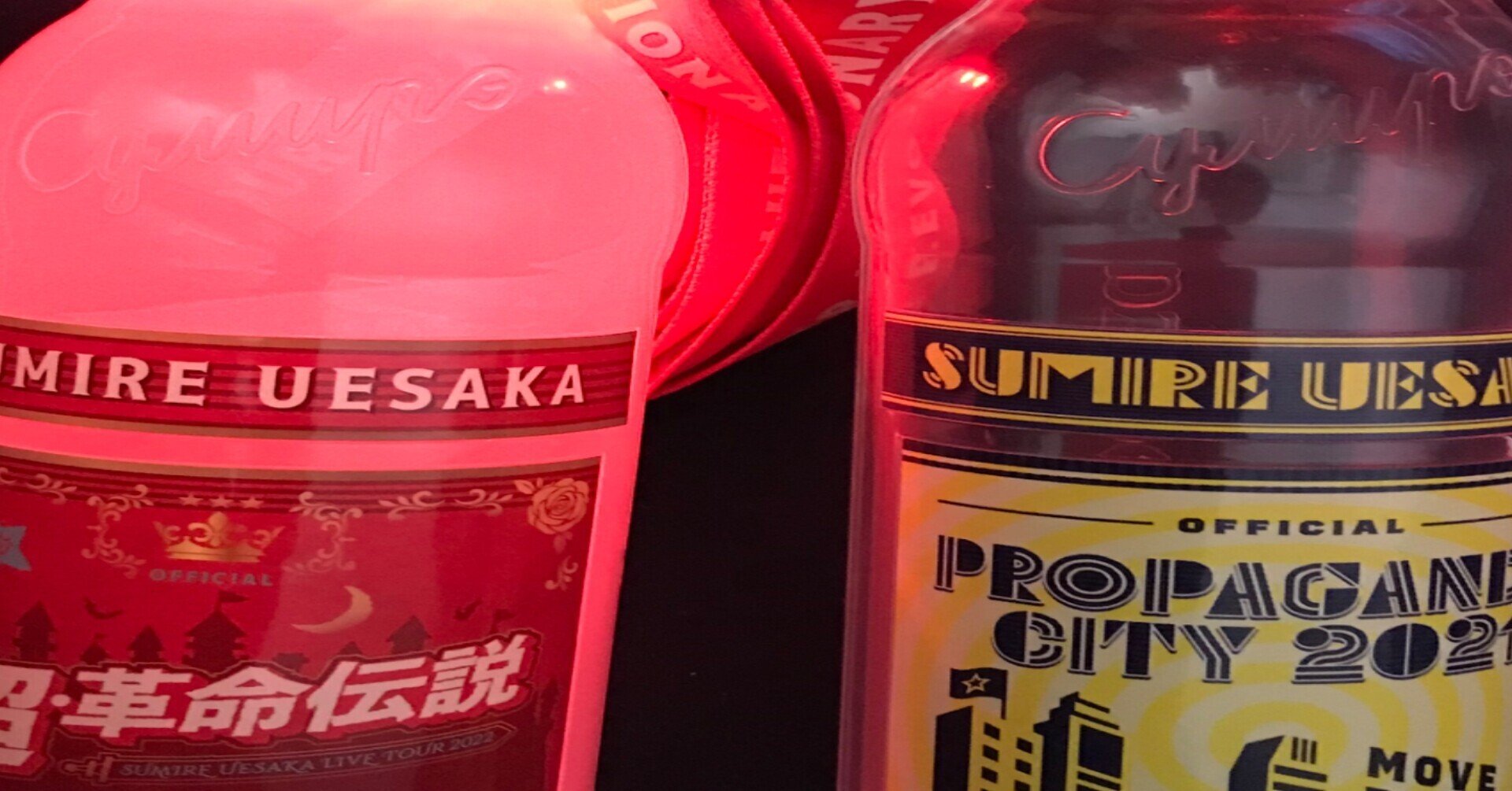 ライブ前準備コラム 上坂すみれさんのライブツアー Sumire Uesaka Live Tour 22 超 革命伝説 がいよいよ開幕 参加する同志たちに告ぐ 特に初参加する同志に向けた準備 きゃんでー Note