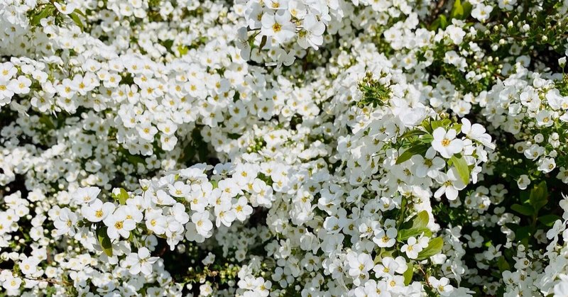 終わりの国のトワ の新着タグ記事一覧 Note つくる つながる とどける