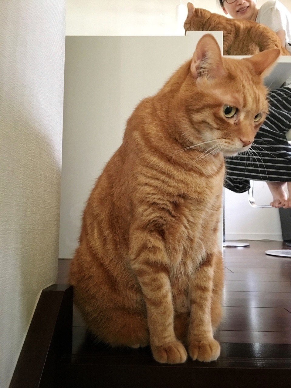 はい撮るよ Mizunote Note