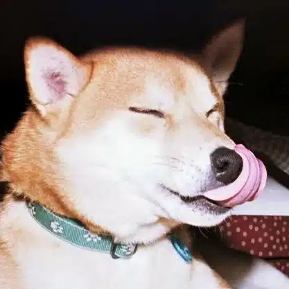 前多昭彦
