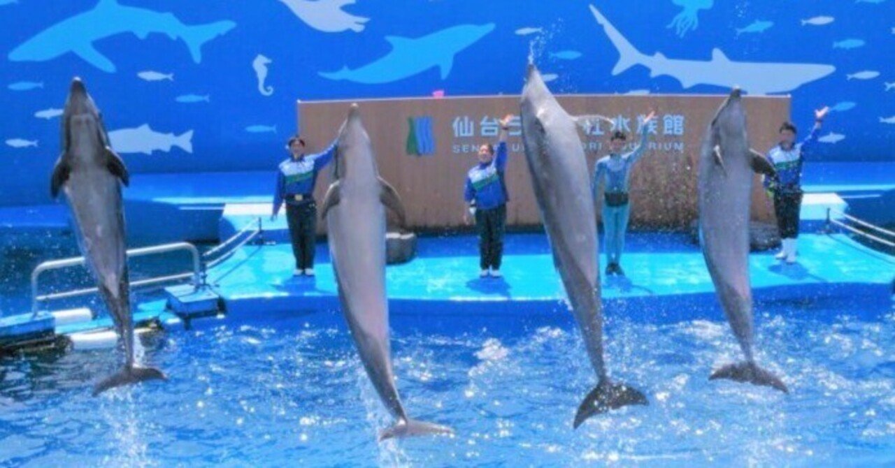 飼育の日企画】パフォーマンスチームのお仕事を知ろう｜仙台うみの杜水族館