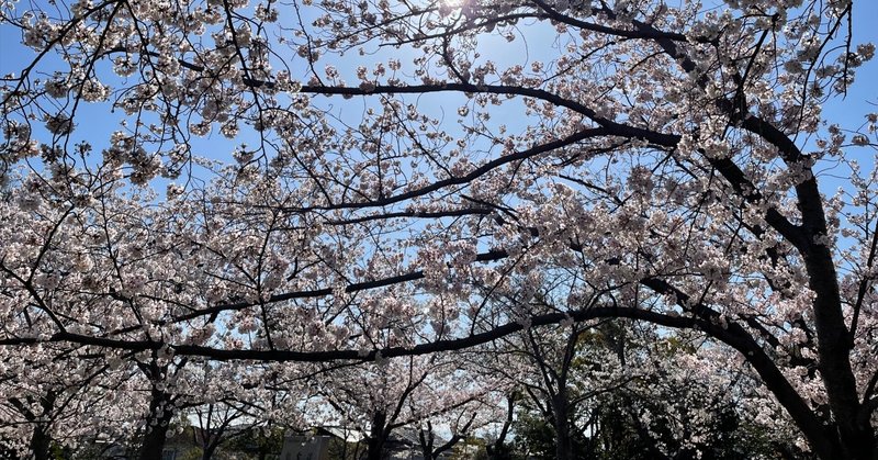 どうか無事に帰ってきて…！命がけの単身赴任に向かう防人たちの愛と別れ