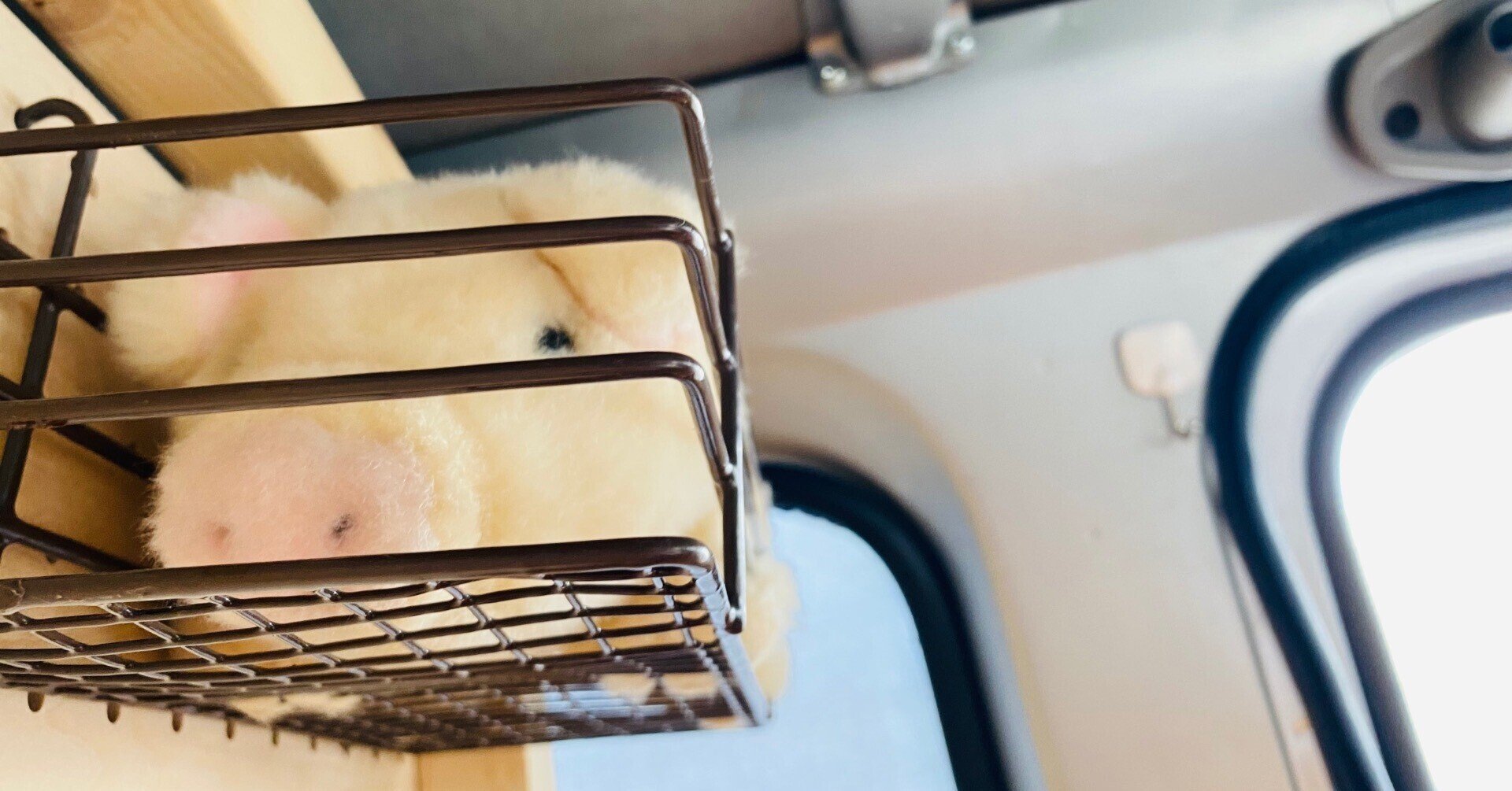 ゼロと無限 白馬の王子様の気持ち 4 7 水戸lighthouse 4 8 仙台enn 2nd Folca Note