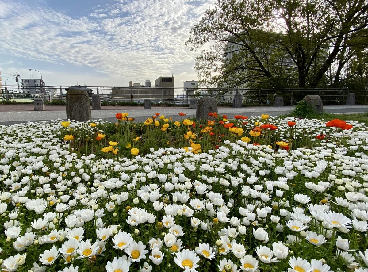 画像41