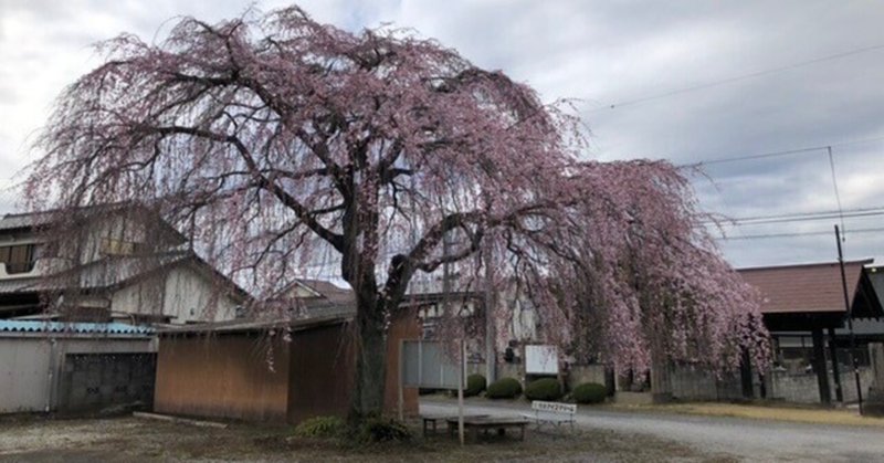 和暦如月廿五日の食事と日記