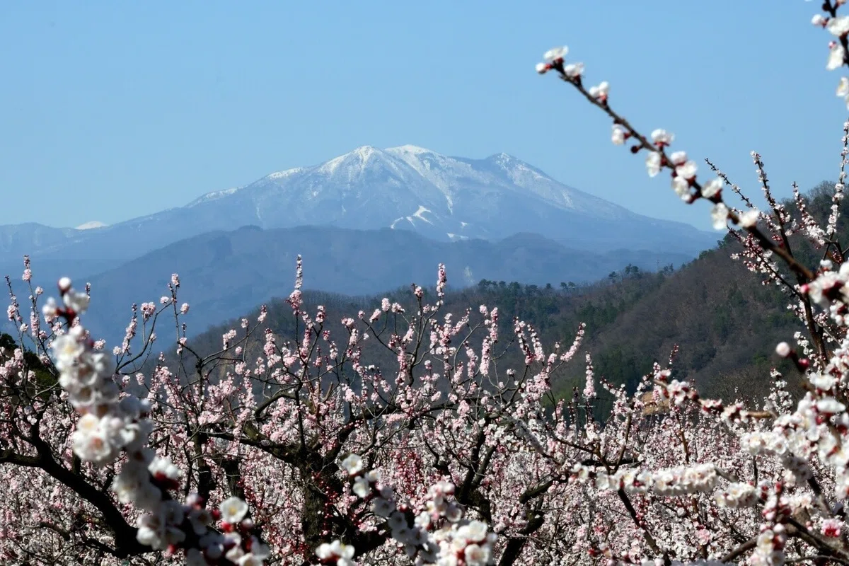 画像8
