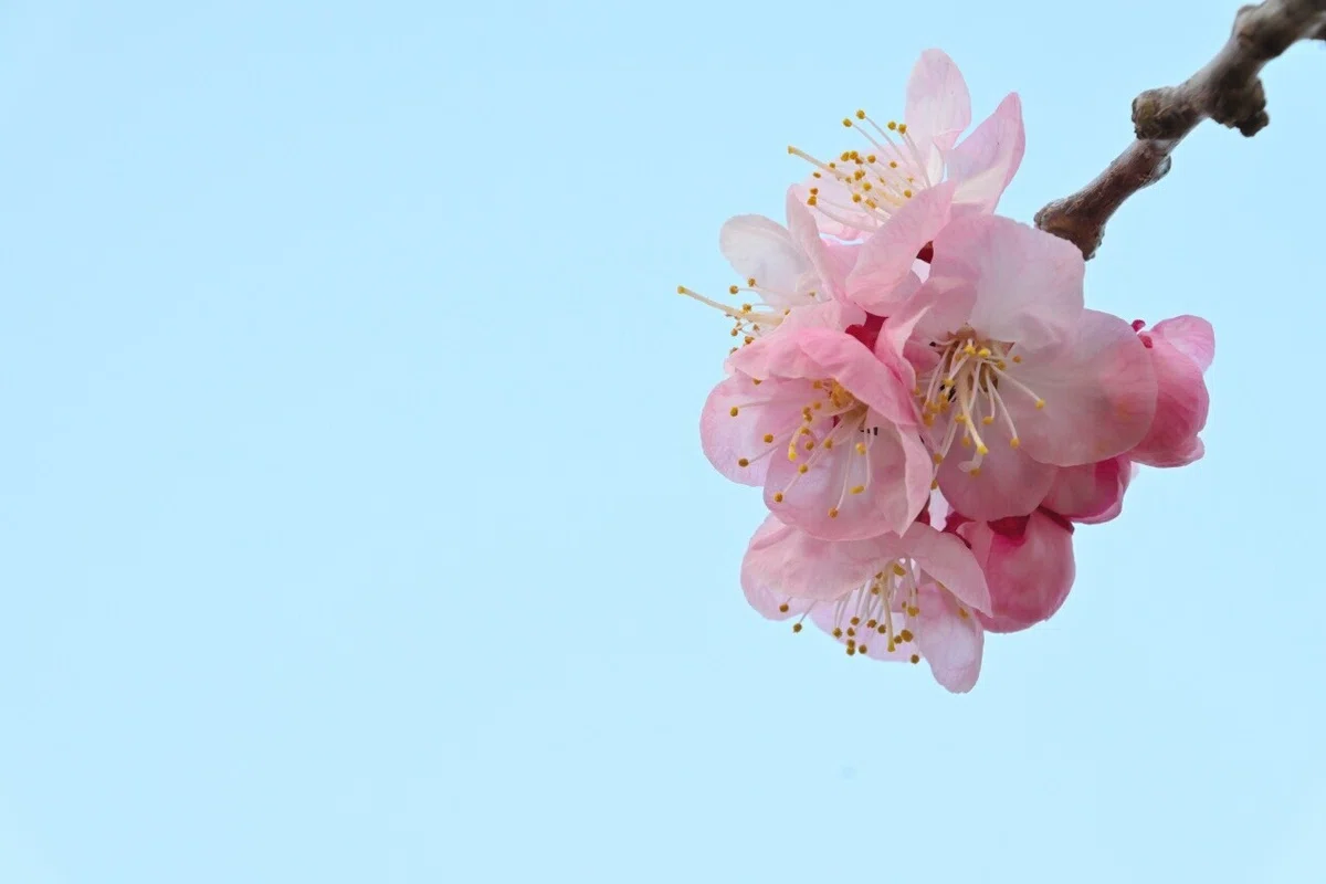 画像20