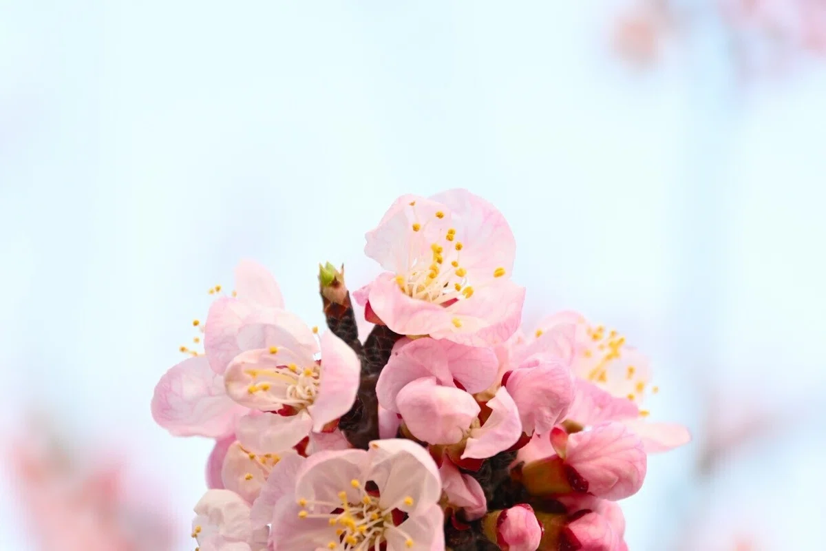 画像21