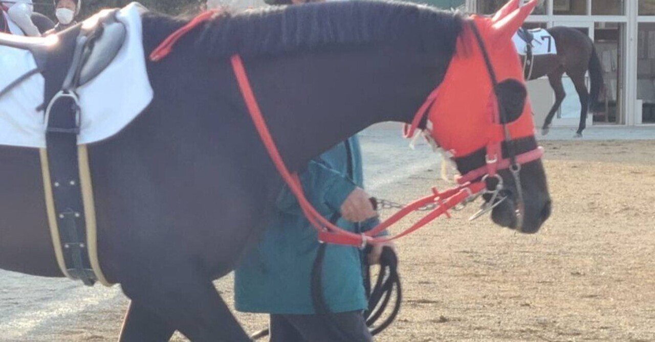 犯罪者と呼ばれた日本ダービー馬クライムカイザー 〜名馬たちの記憶9