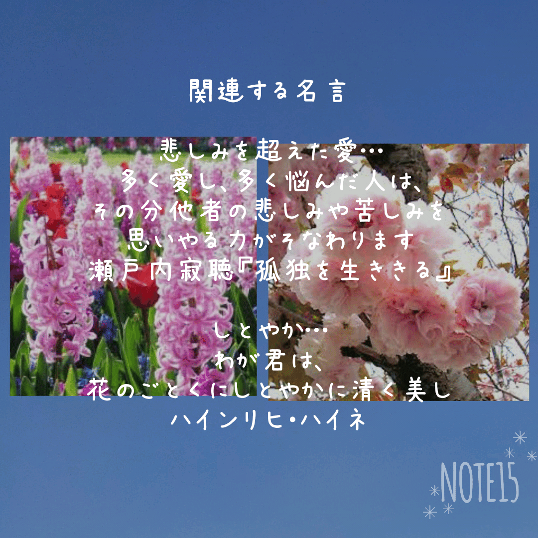 今日の花たち 4 11 ヒヤシンス スポーツ ゲーム 遊び 悲しみを超えた愛 ヤエザクラ 豊かな教養 善良な教育 しとやか 関連する名言 ひとこと画像 だー Note