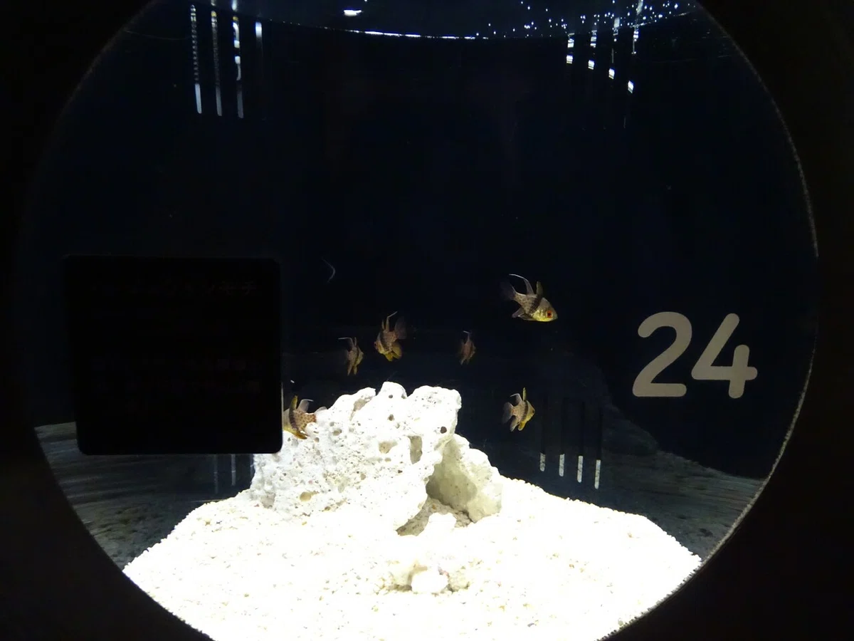 画像63