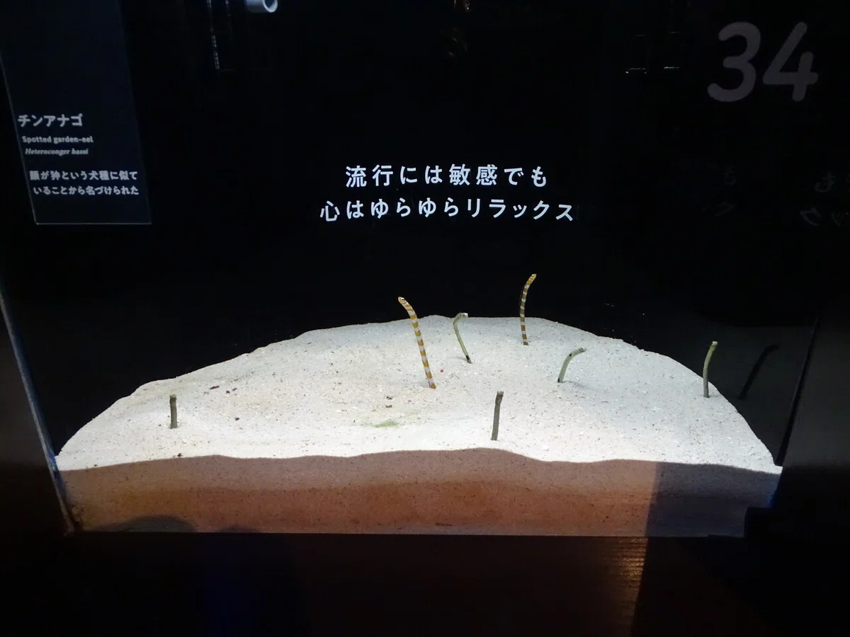 画像78
