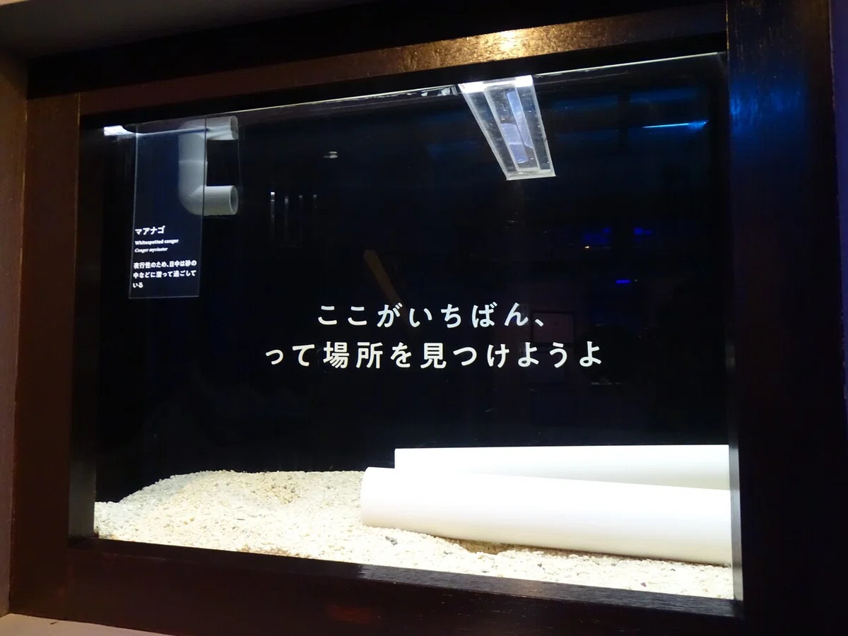 画像72