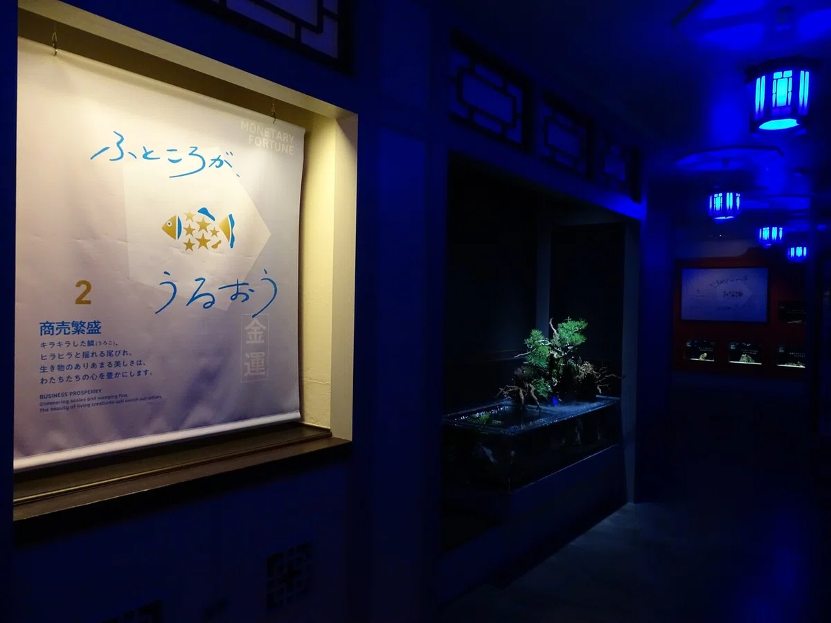 画像42