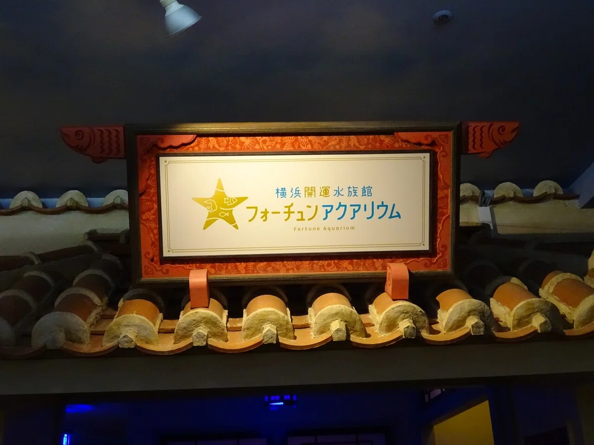 画像15