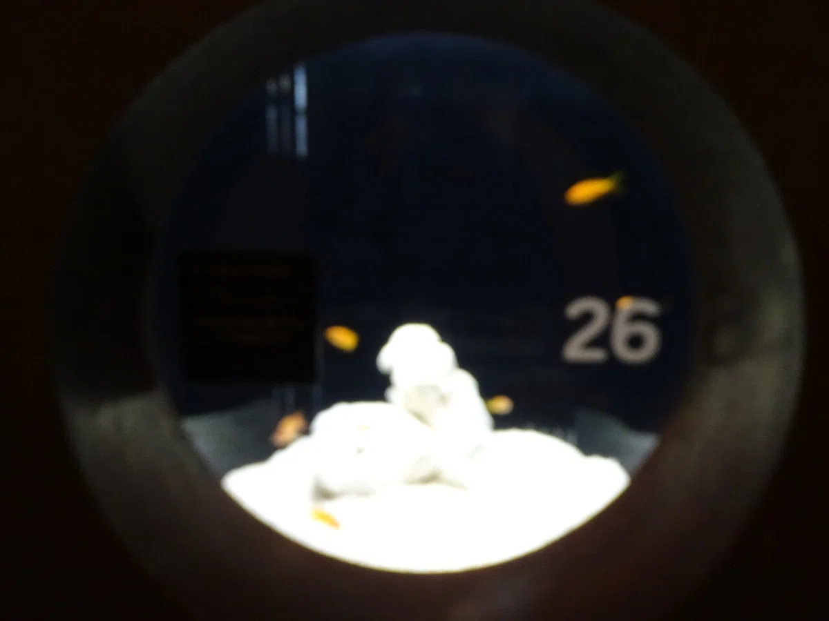 画像65