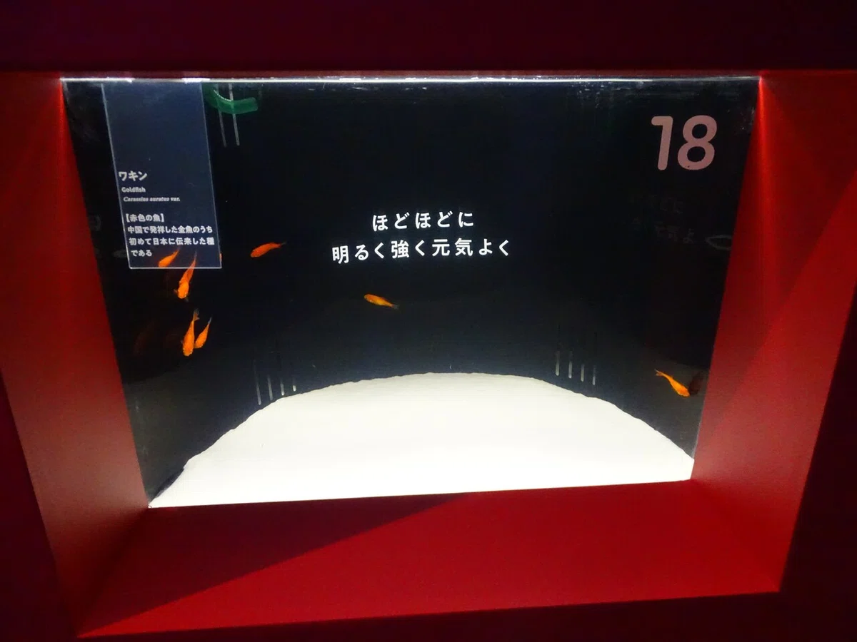 画像53
