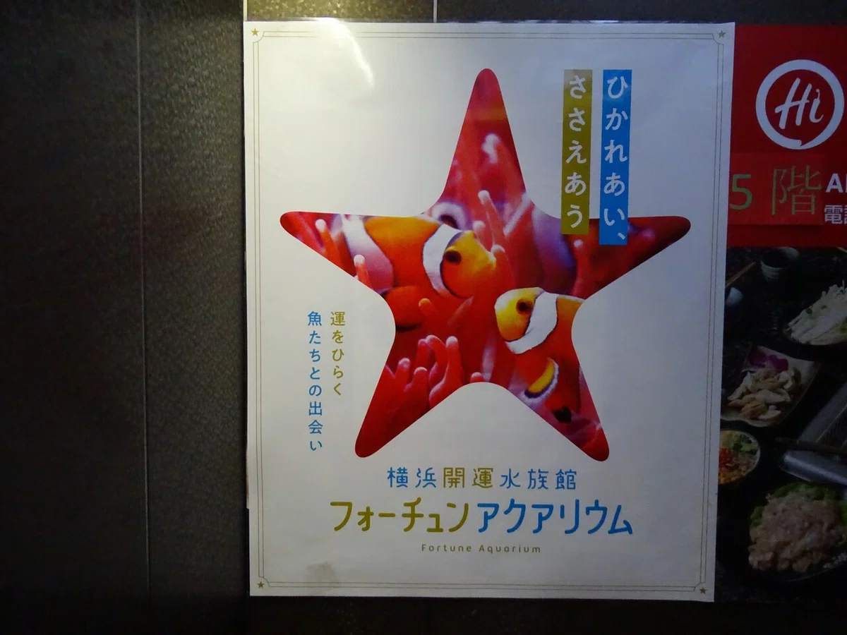 画像11