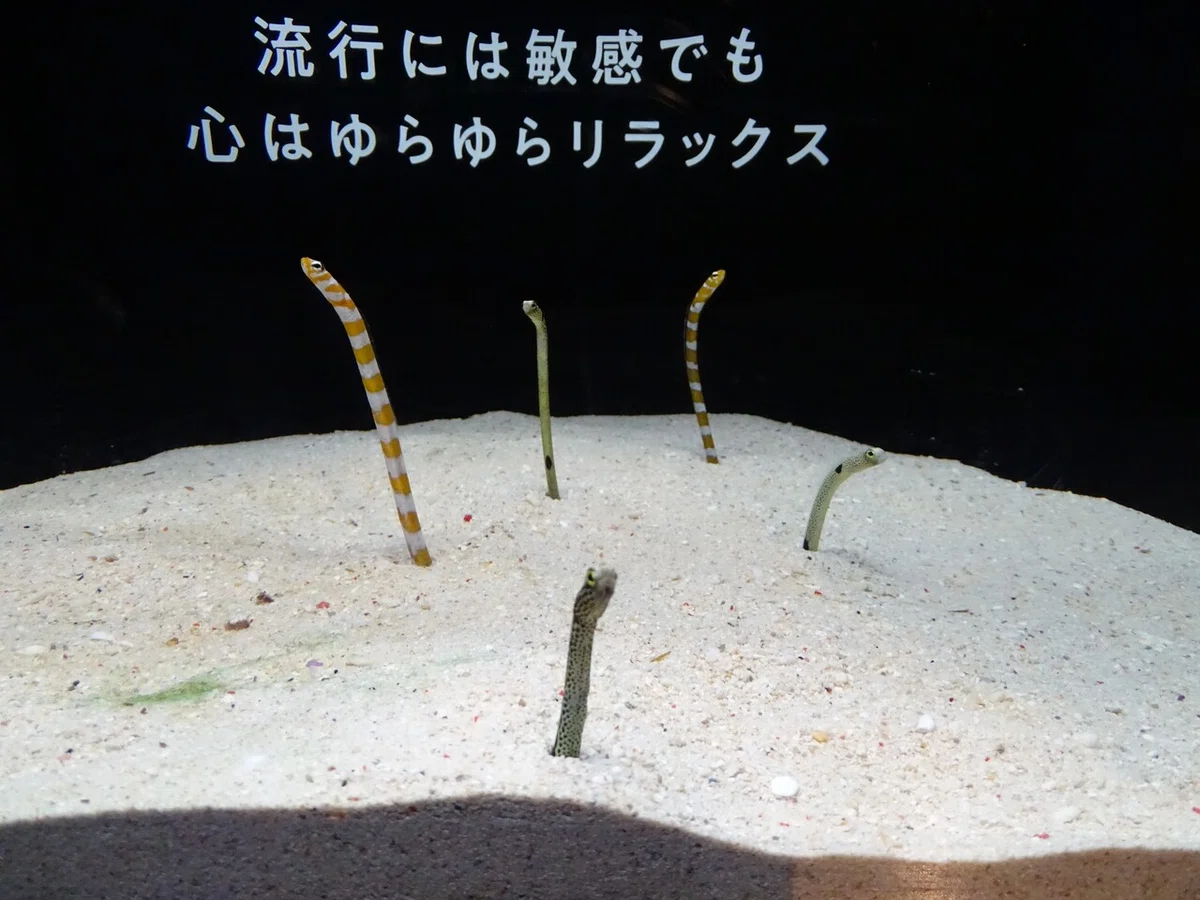 画像79