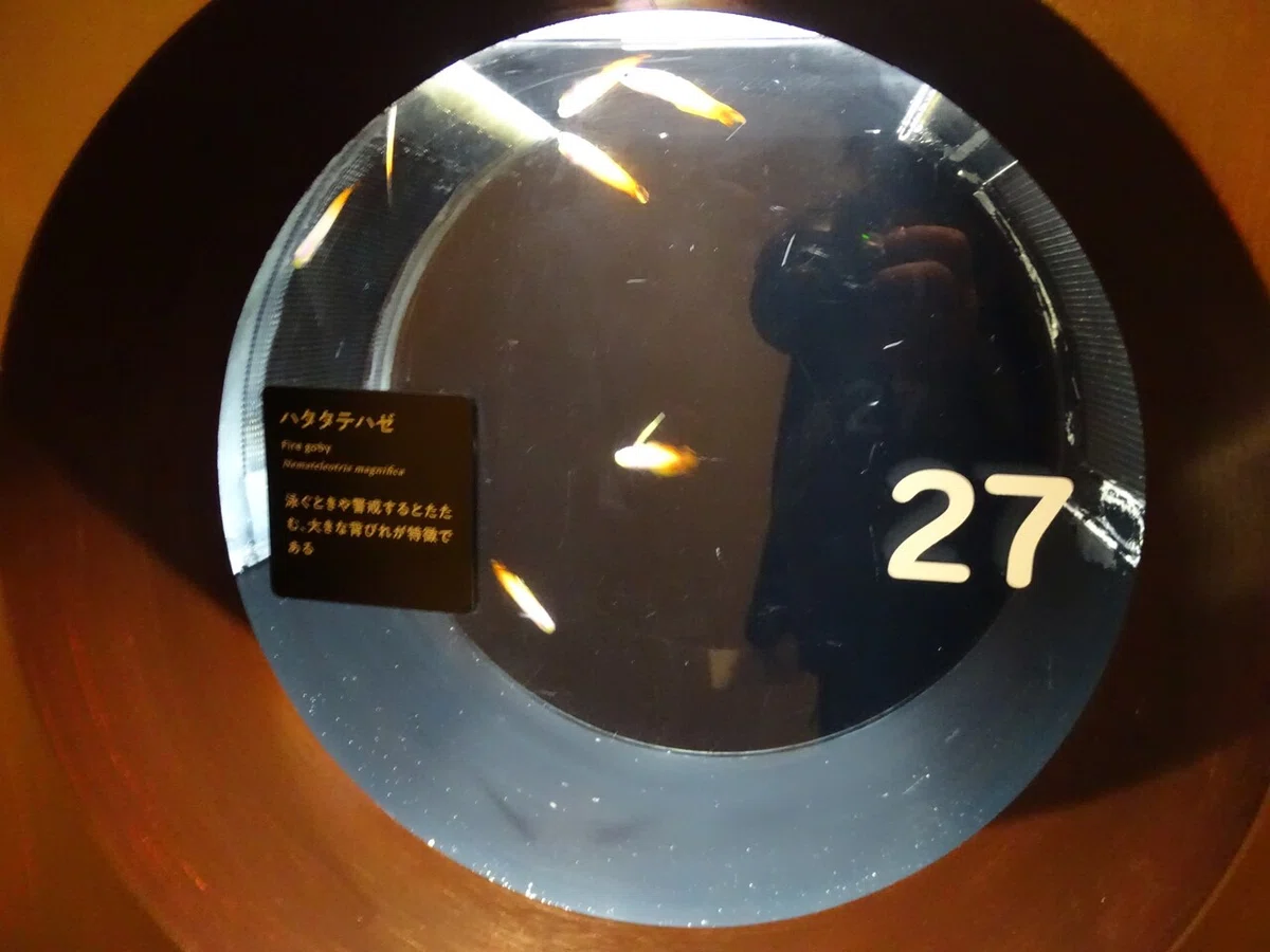 画像66