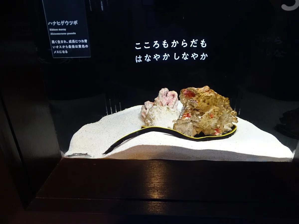 画像75