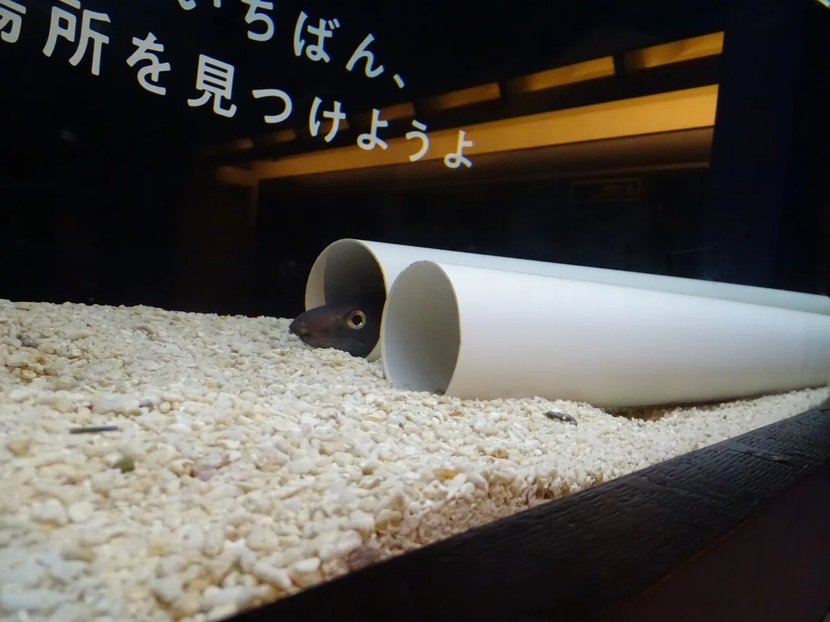 画像73