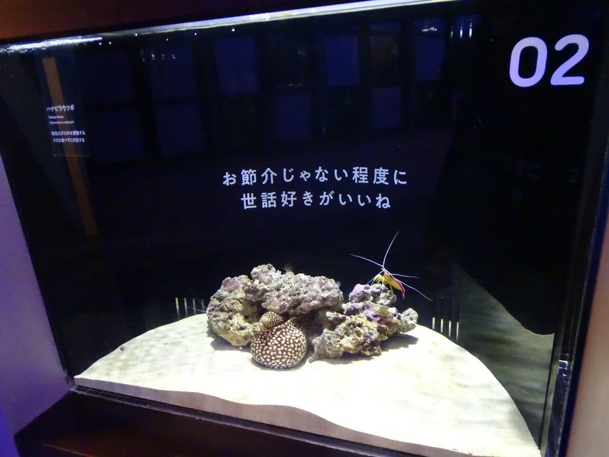 画像32
