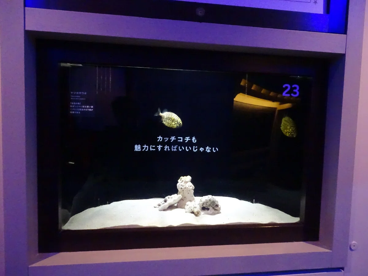 画像58