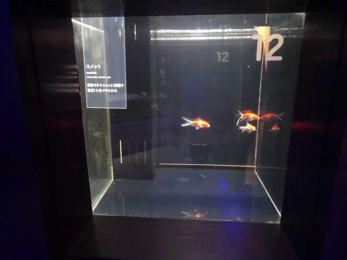 画像46