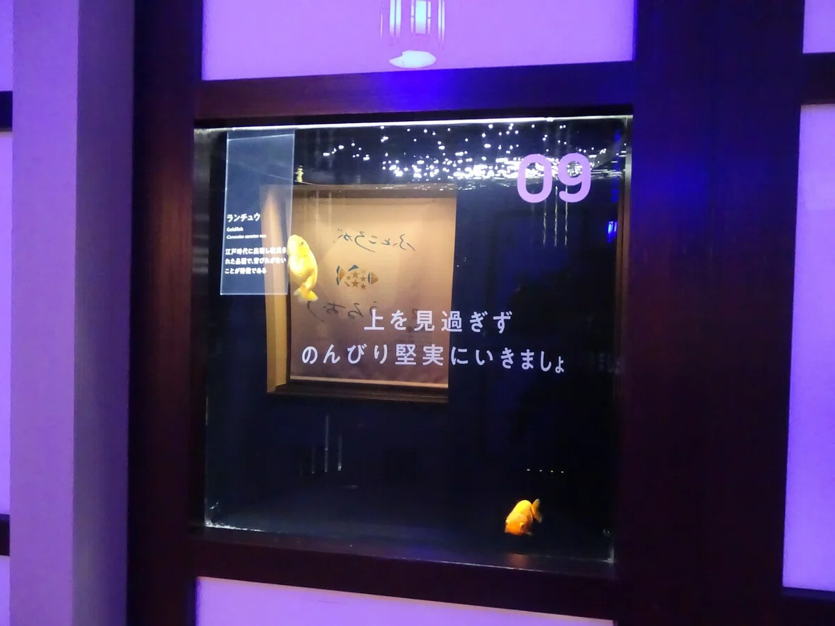画像41