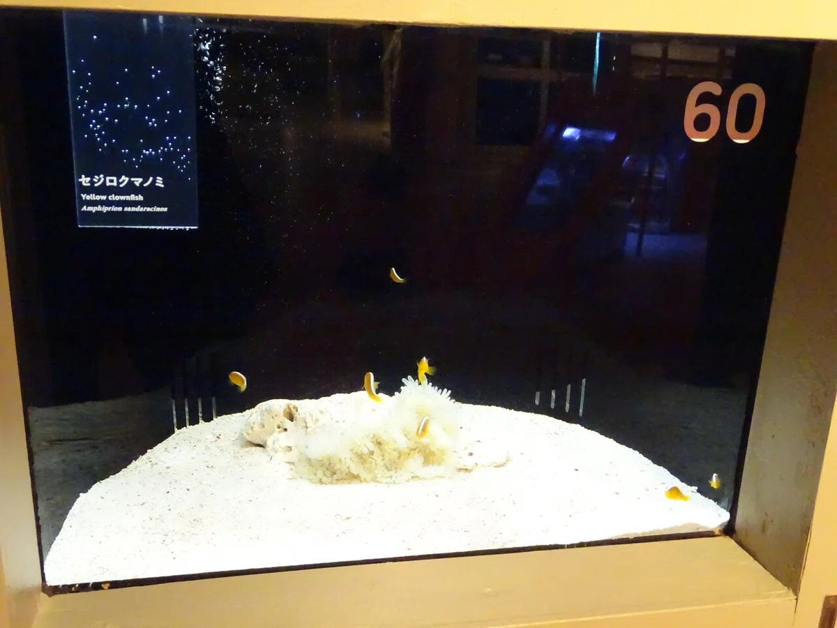 画像128