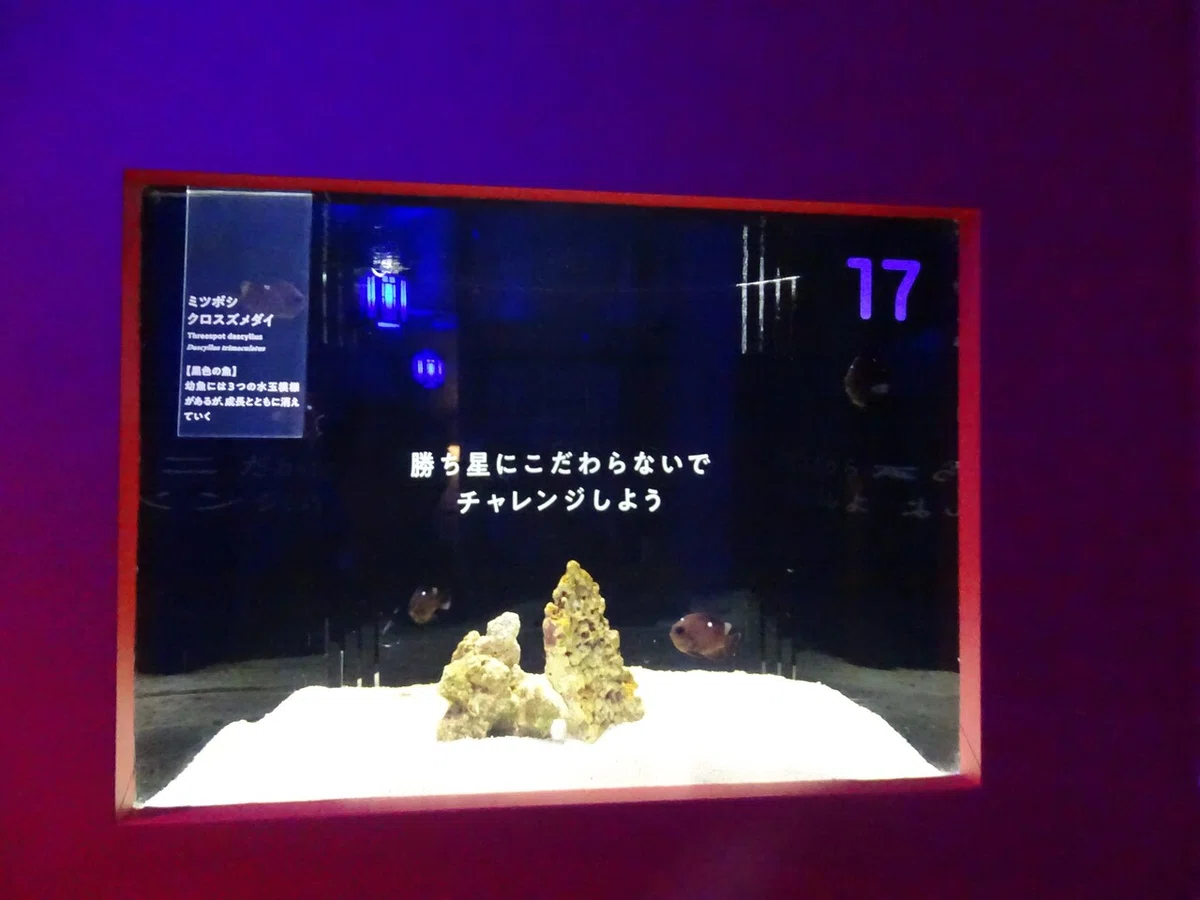 画像52