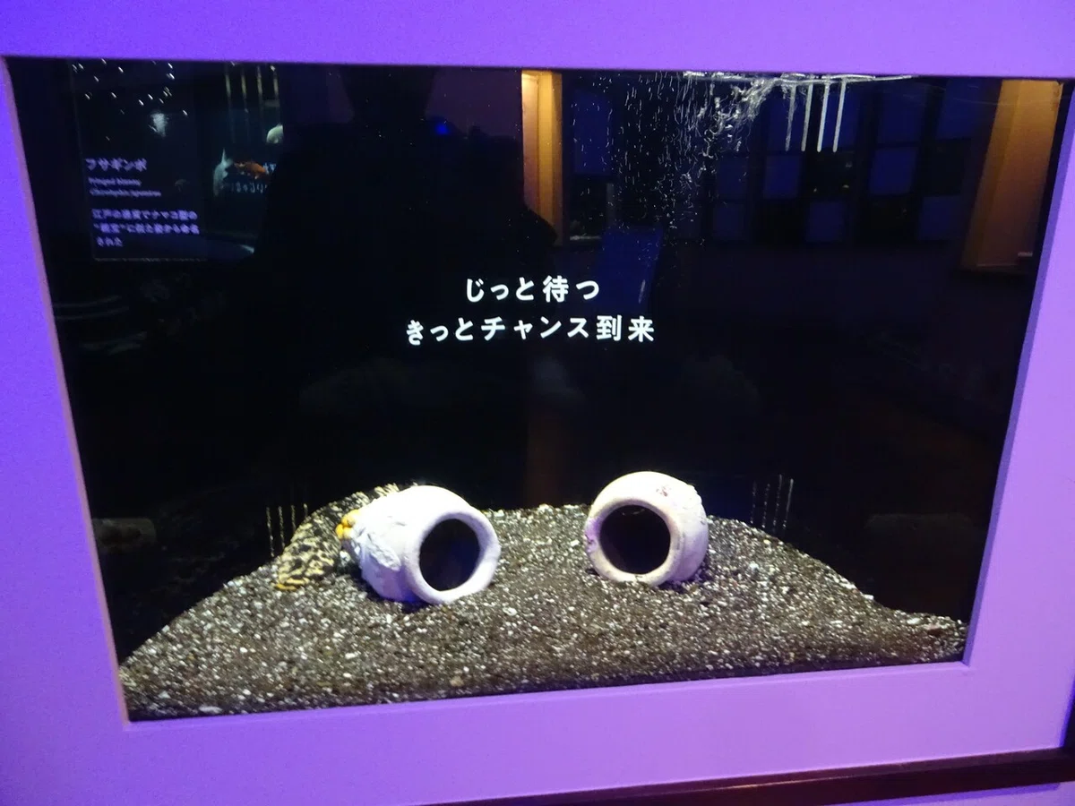 画像26