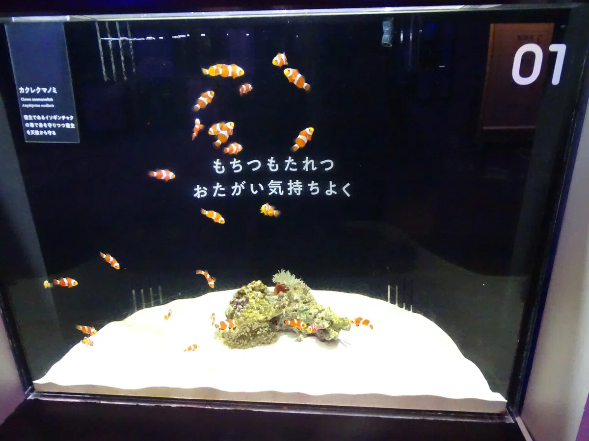画像31
