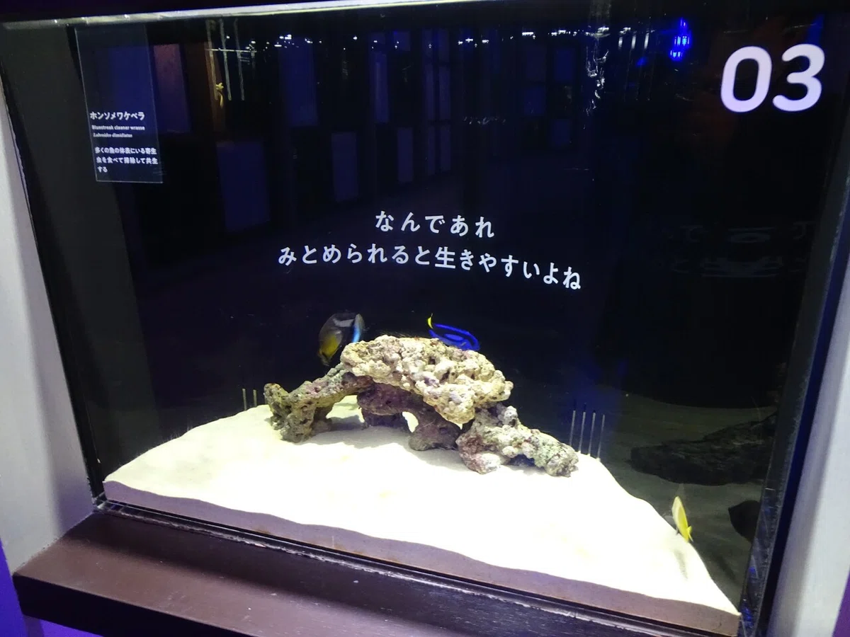 画像34