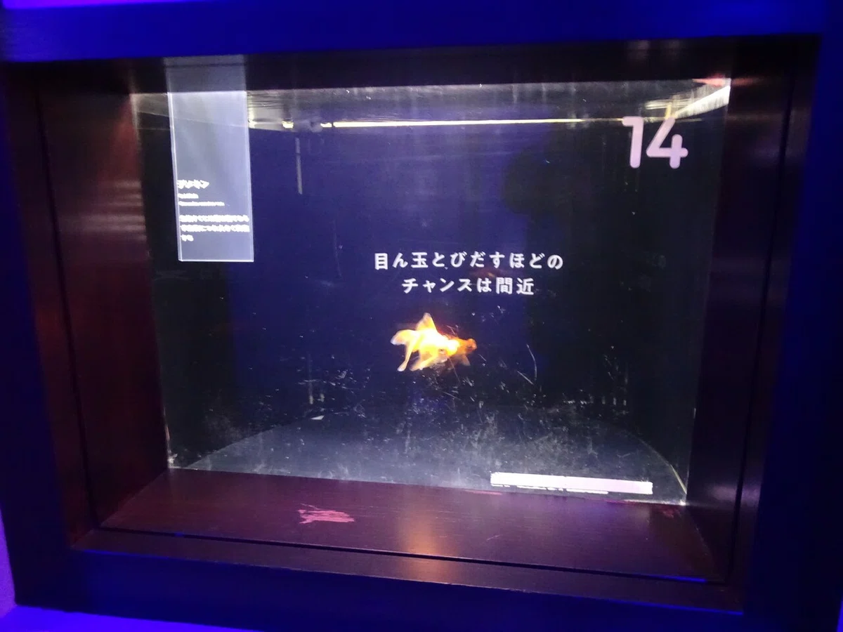 画像48