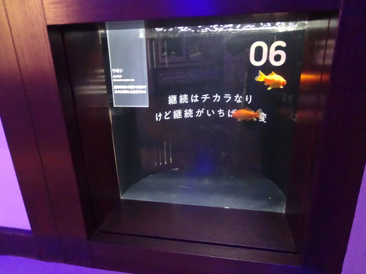 画像38