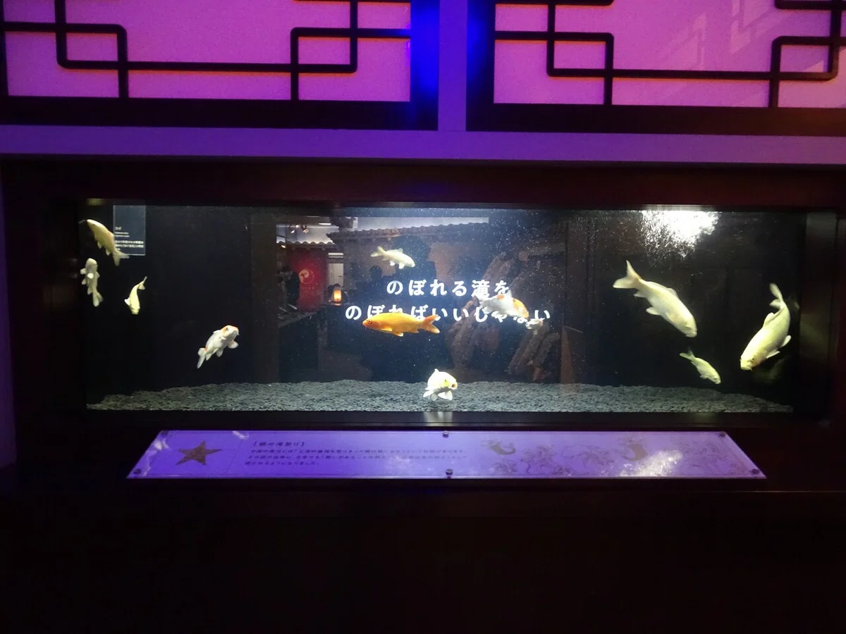 画像24