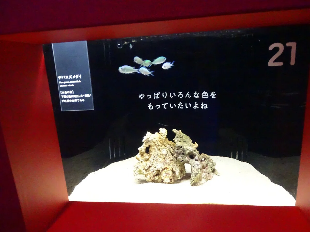 画像56