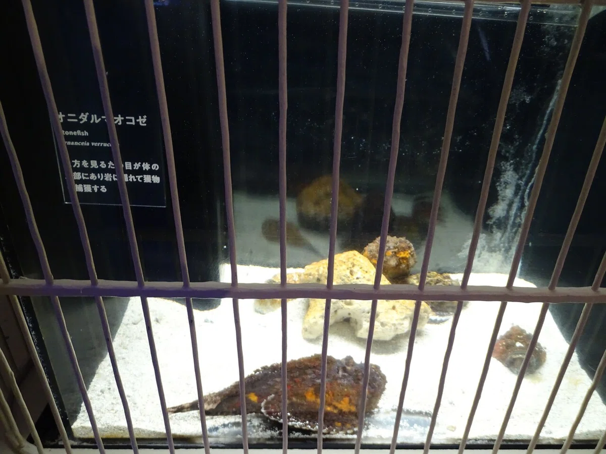 画像104