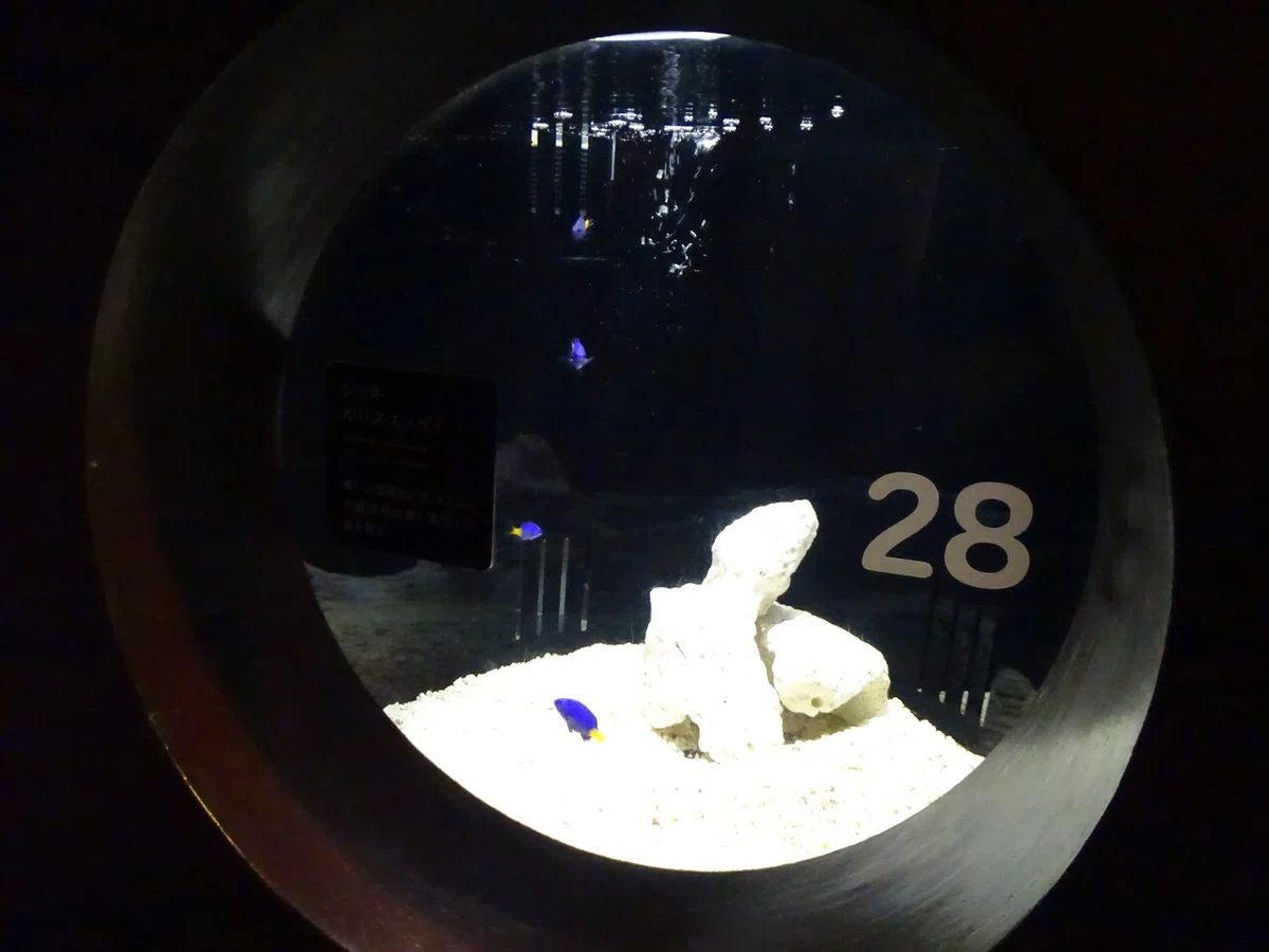 画像67