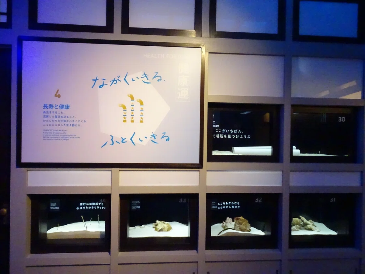 画像70