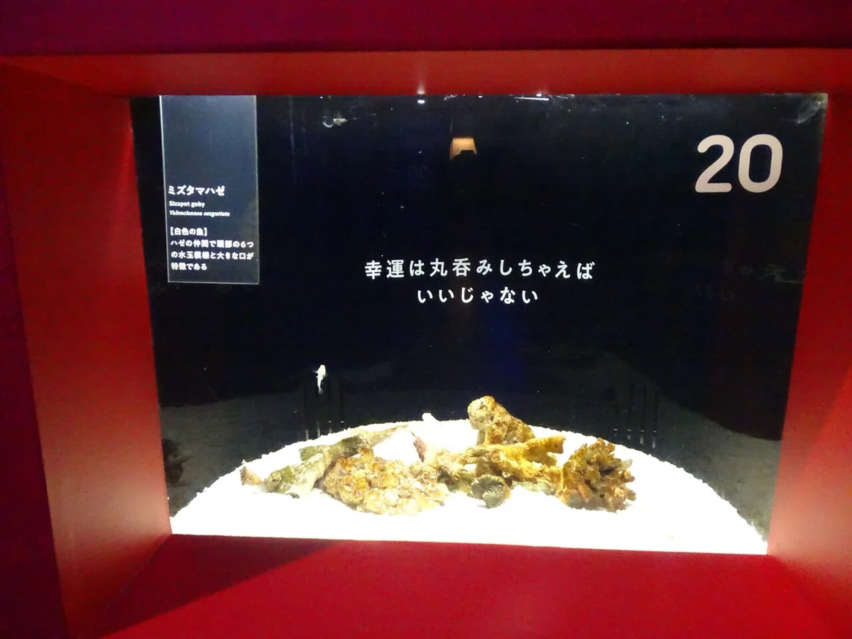 画像55