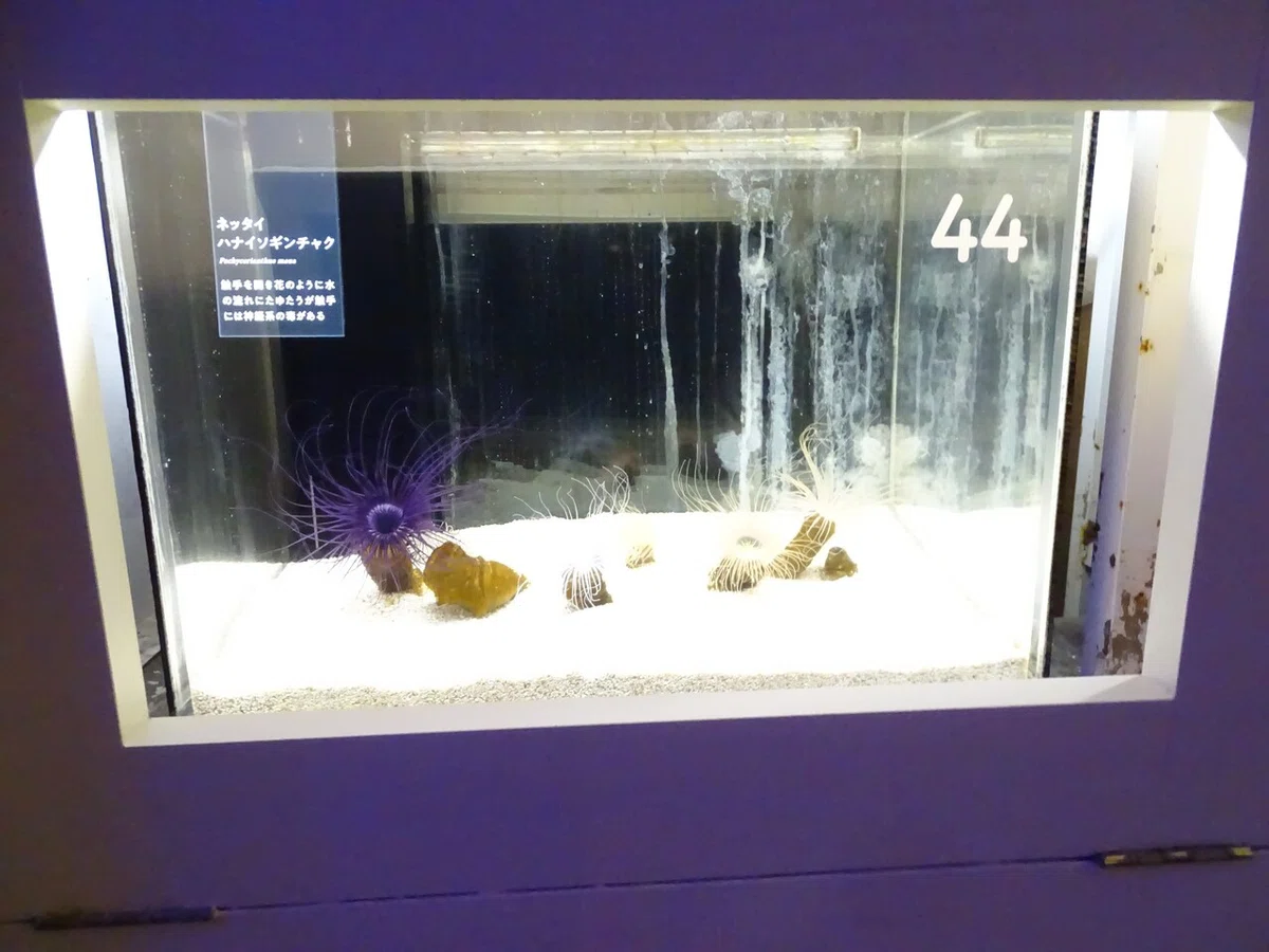 画像101