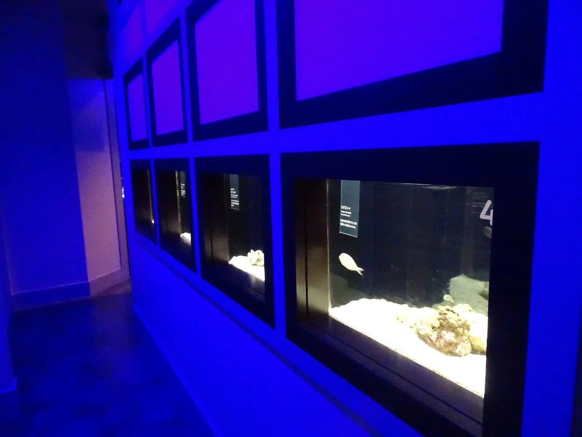 画像81
