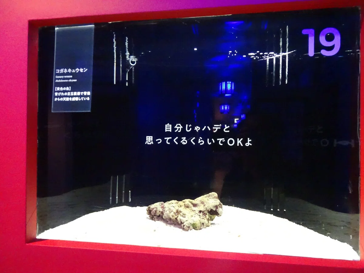 画像54